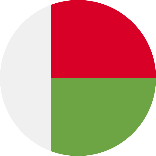 Madagascar Flag